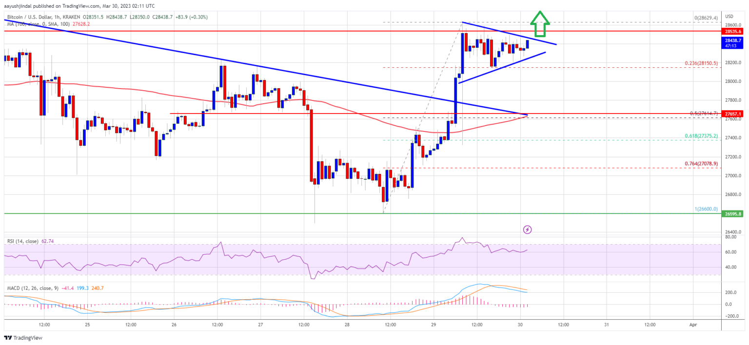 BTC to EUR (Bitcoin to Euro) FX Convert