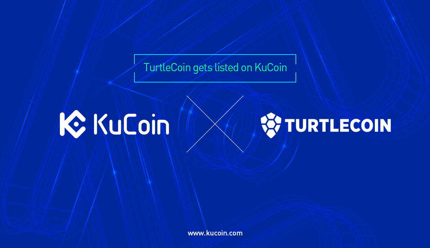 Spotted Turtle Exchanges - Buy, Sell & Trade ST | CoinCodex