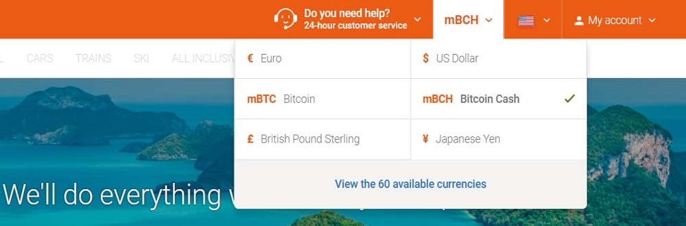 Does Expedia still accept Bitcoin? | NOWPayments