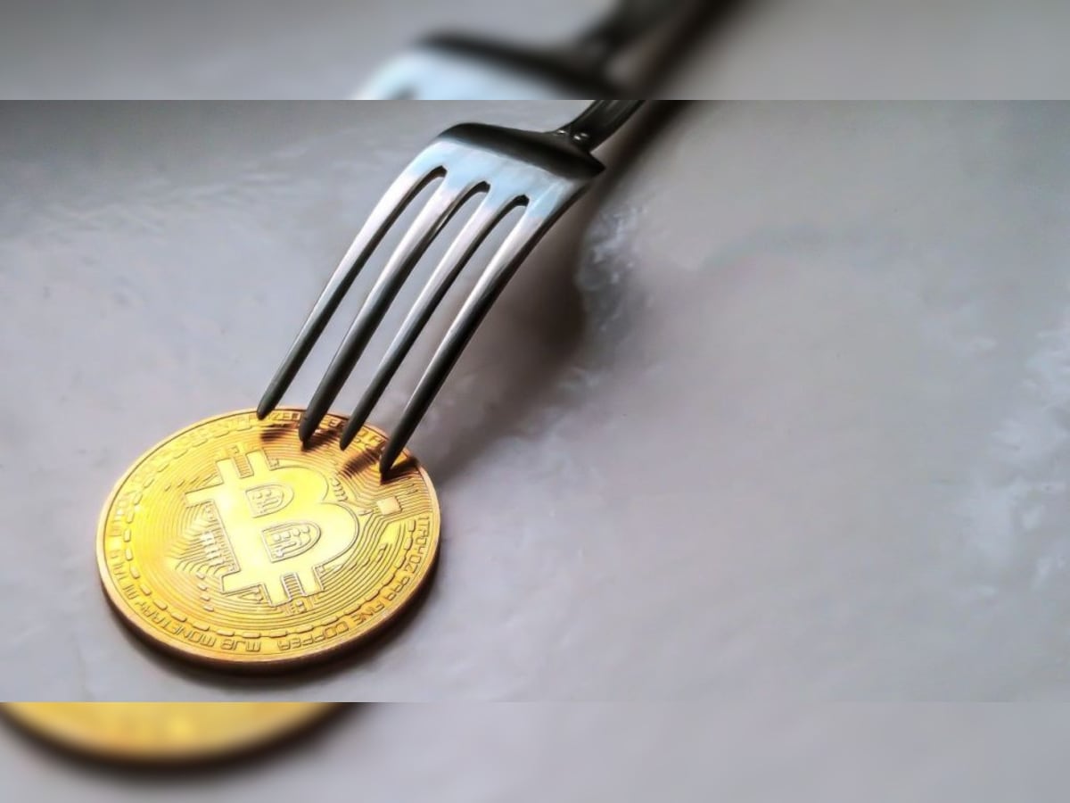Bitcoin Forks | The impact of BTC forks on the Bitcoin price