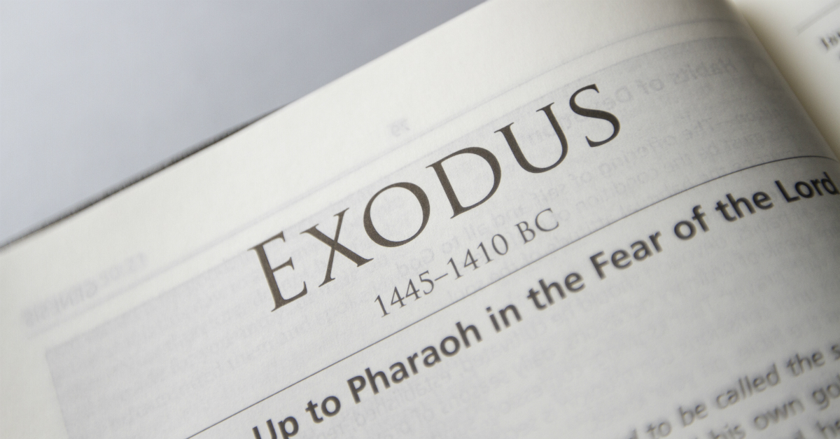 Exodus - Wiktionary, the free dictionary