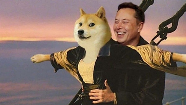 Why Did Twitter Logo Change to Doge? Elon Musk Explains Dogecoin Joke