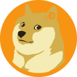 Convert 1 DOGE to EUR - Dogecoin price in EUR | CoinCodex