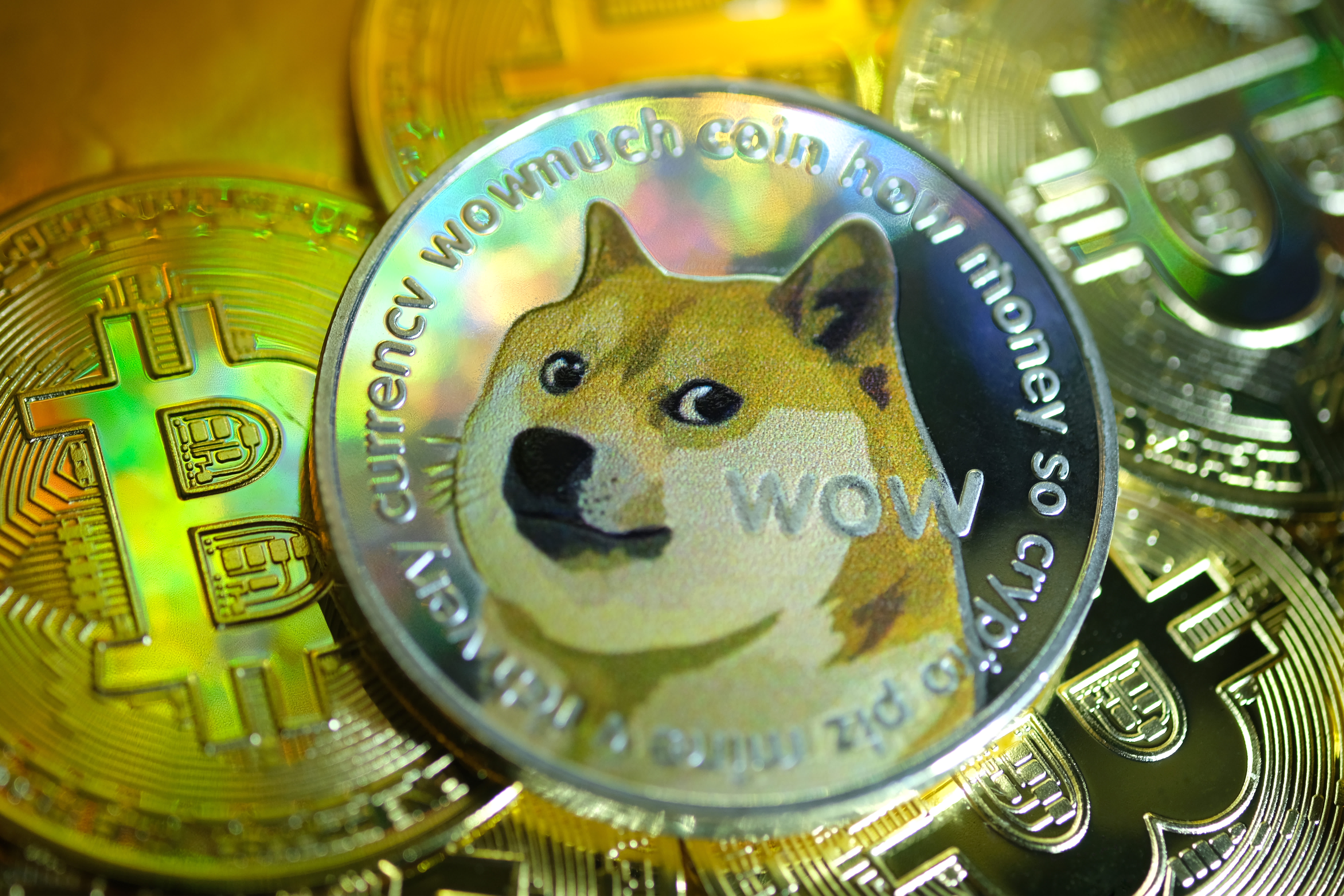 1 USD to DOGE - US Dollar to Dogecoin Exchange Rate - bitcoinhelp.fun