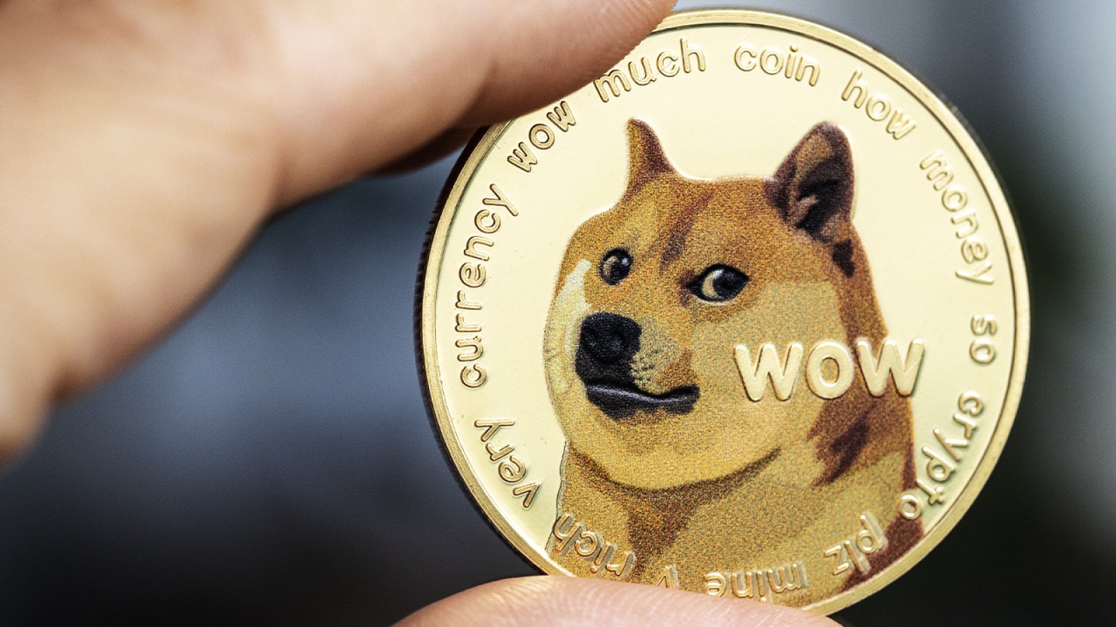 US-Dollar to Dogecoin Conversion | USD to DOGE Exchange Rate Calculator | Markets Insider