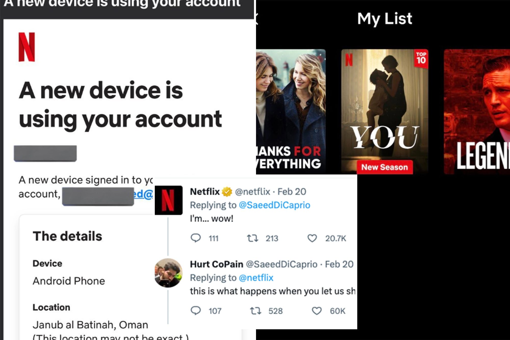 6 Immediate Steps You Should Take If Your Netflix Account is Hacked - Always Networks