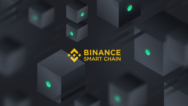 Binance Smart Chain: Everything you need to know - IONOS