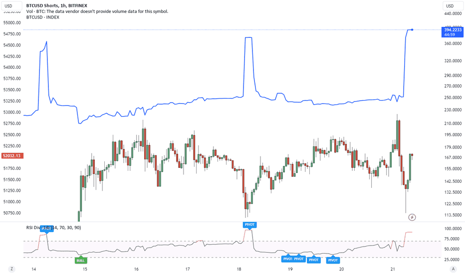 Bitcoin Market Sentiment: What is BTC USD Shorts? - bitcoinhelp.fun