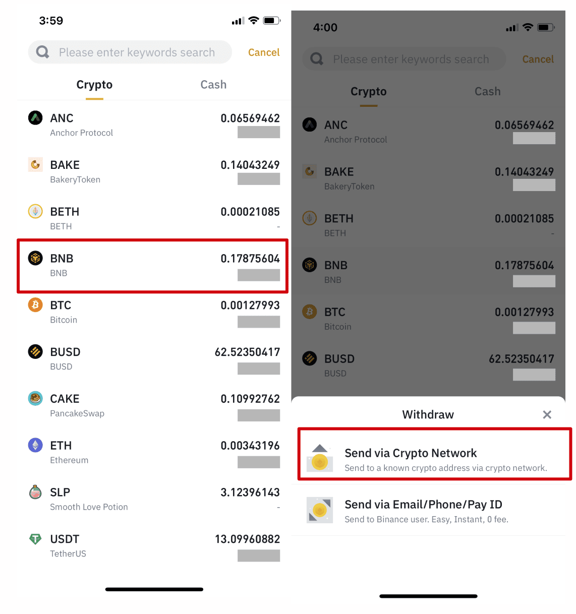 How to Use Binance Pay with Trust Wallet | Trust