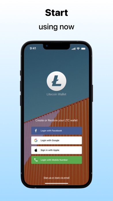 Litecoin Core Wallet: Detailed Review and Full Guide on How to Use It