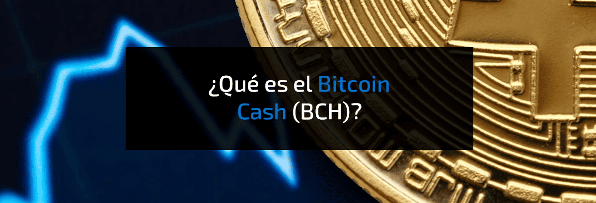 Noticias De Bitcoin Y Criptomonedas | Criptotendencias