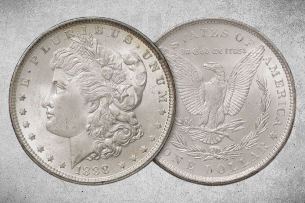 Silver Dollar | Learn the Value of This Coin