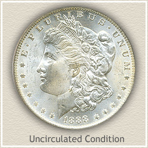 Value of Morgan Dollar | Rare Silver Dollar Buyers