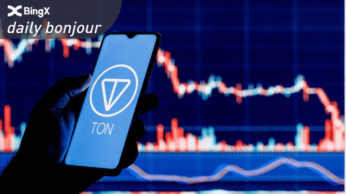 Number of Toncoin Accounts Nearly Triples in the Past Year – TON Ecosystem Report | CoinCodex