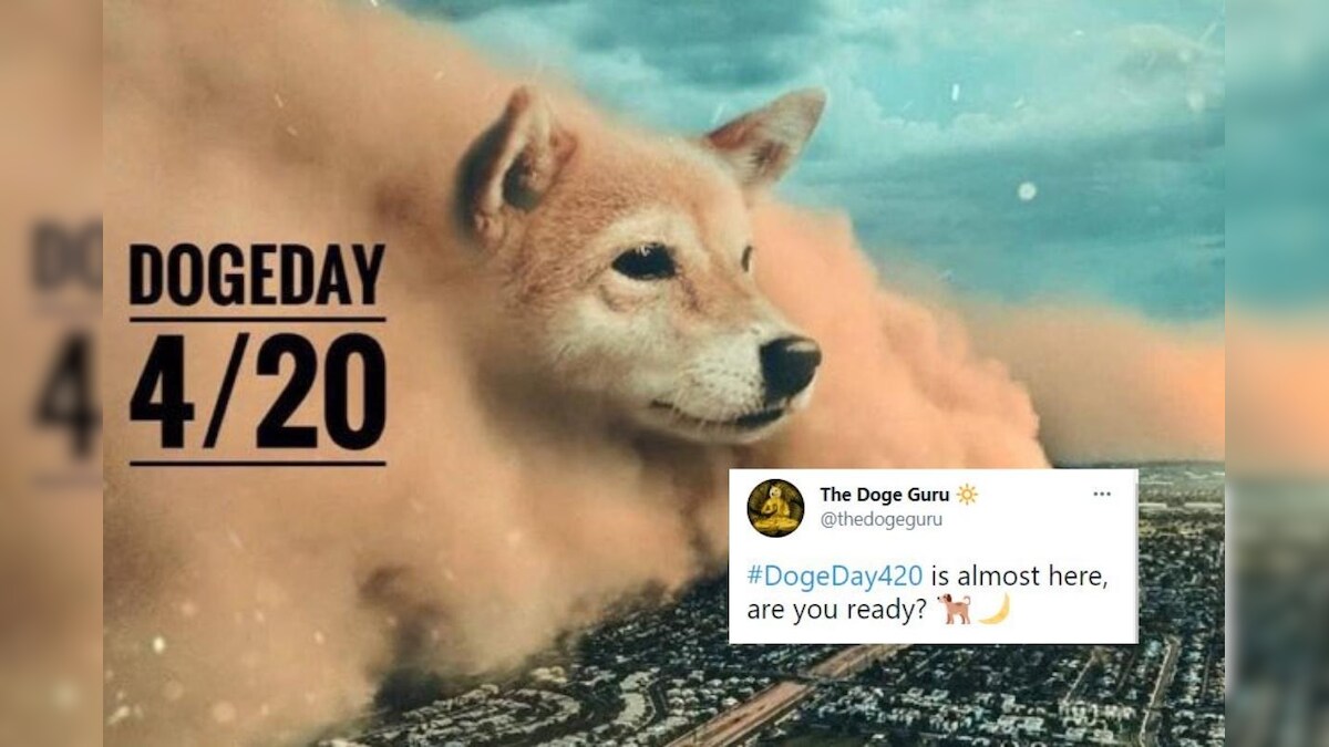 20 DOGE to USD - Convert 20 Dogecoin to US Dollar | CoinChefs