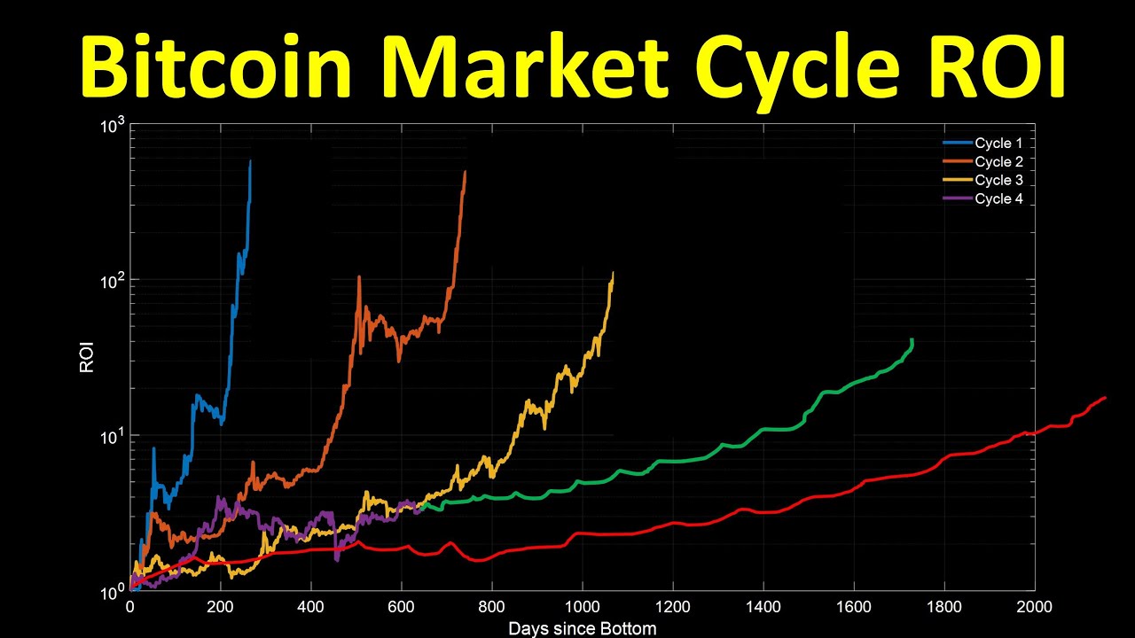 Bitcoin Profit Calculator | CoinCodex