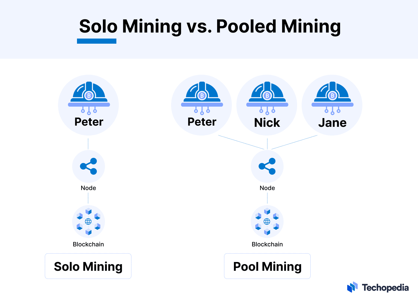 Crypto Nodes: What Are They And How Do They Work? | Ledger