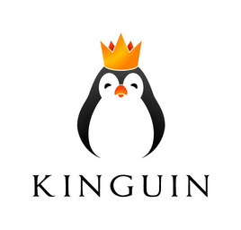 Understanding Kinguin - A Comprehensive Guide to the Digital Marketplace | Baxity