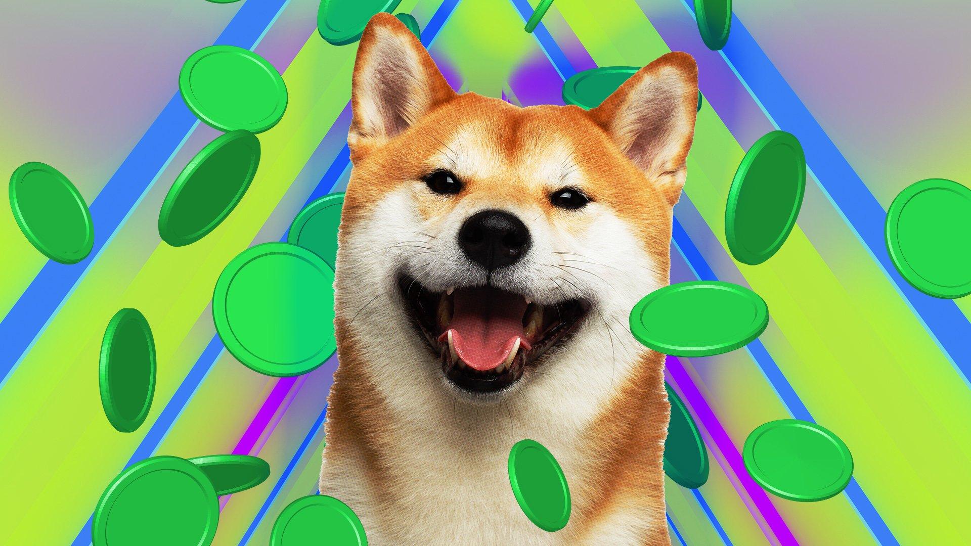 Convert 1 DOGE to EUR (1 Dogecoin to Euro)
