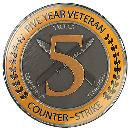 Buy 10 Year Veteran Coin CSGO Accounts - Buy Prime Accounts