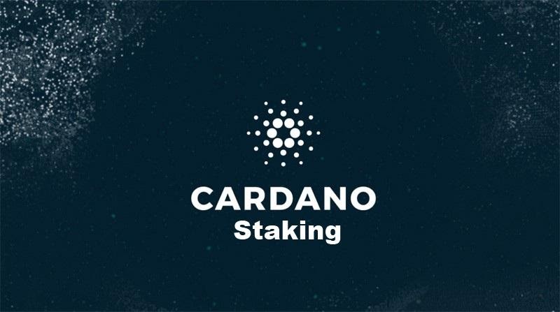 Cardano | Stake Pool Delegation