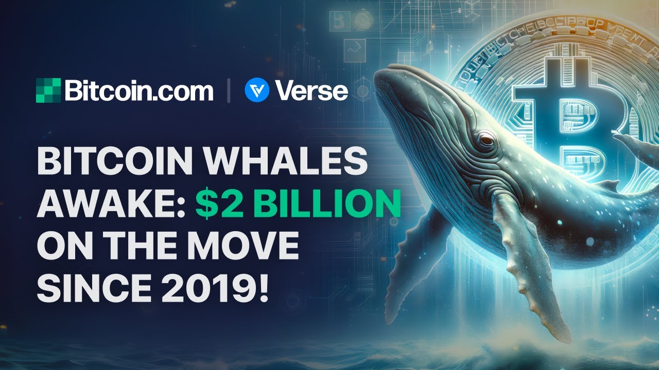 What Is a Crypto Whale and How Do They Affect Crypto Markets?