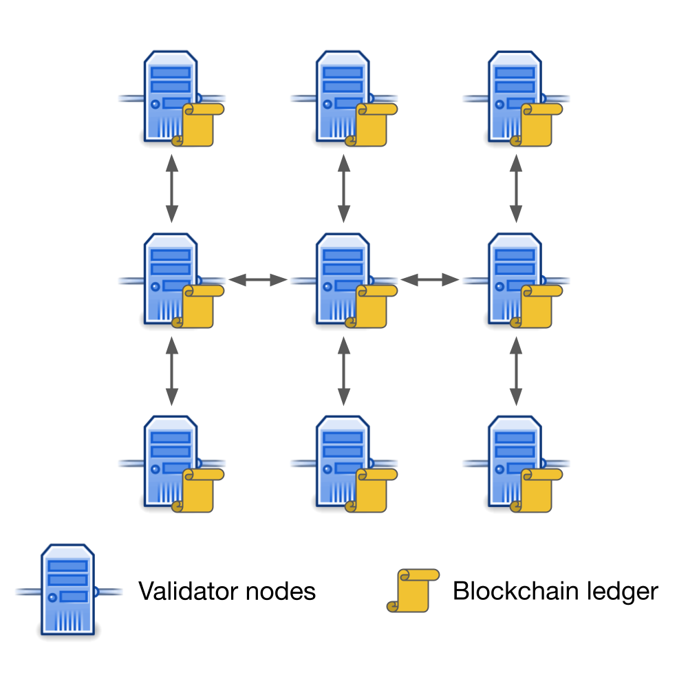 Everything You Need to Know About Validator Nodes: A Deep Dive