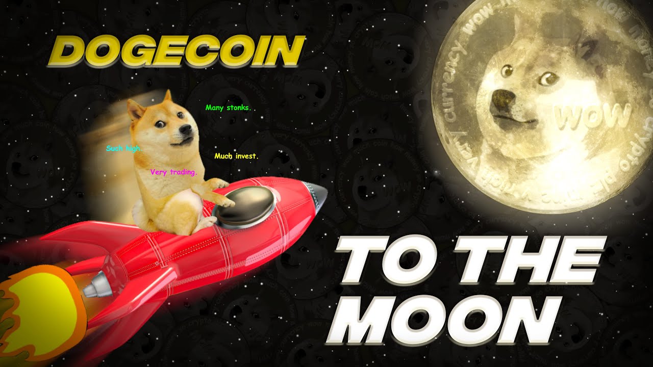 Dogecoin To the Moon Doge HODL Rocket Crypto Meme by rudeuncove | Memes, Dog memes, Shiba inu dog