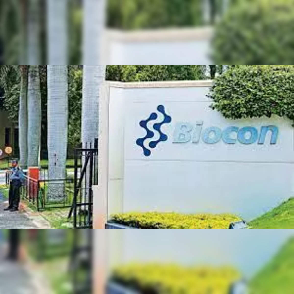 [LIVE] Biocon Share Price | 52 Week High/Low Stocks | Stock History, Futures & Options Quote
