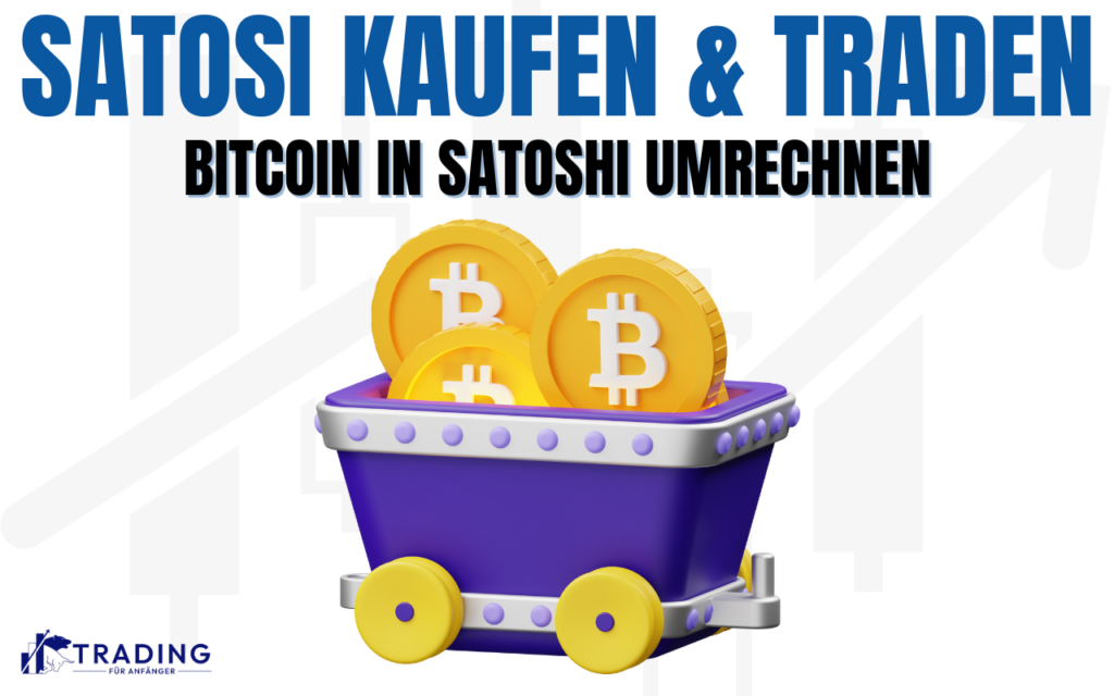 Was ist ein Satoshi? Wie viel ist er wert? | Bitcoin-Wiki | bitcoinhelp.fun