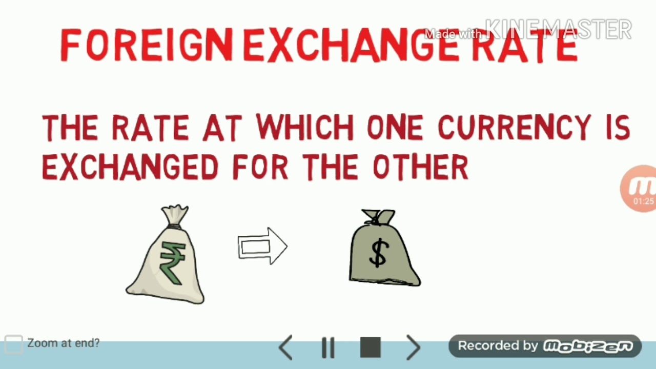 Chapter 11 Foregin Exchange Rate class 12th Commerce
