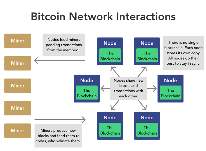 What Are Bitcoin Nodes | NYDIG