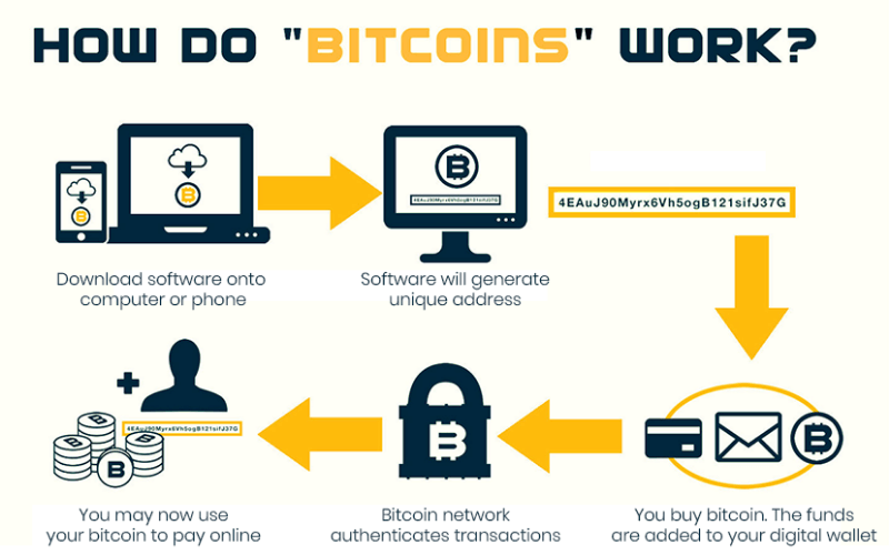 What Is Bitcoin? Definition, Basics & How to Use - NerdWallet