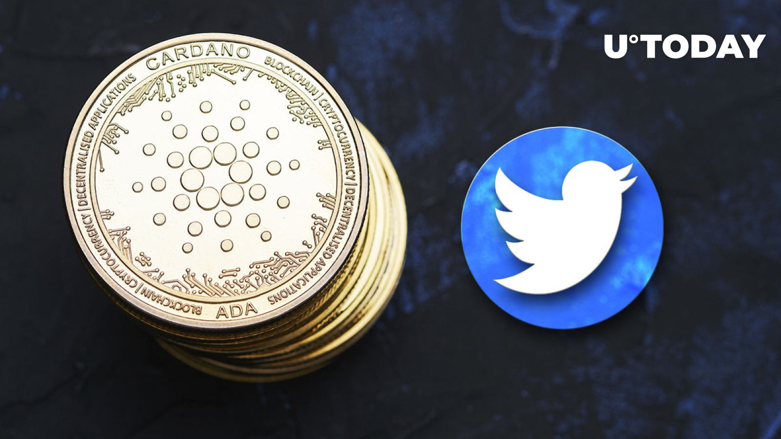 Cardano (ADA) Twitter Followers Statistics 