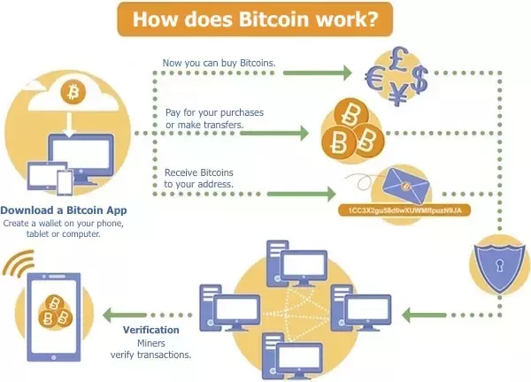 Bitcoin Mining: Everything You Need to Know!