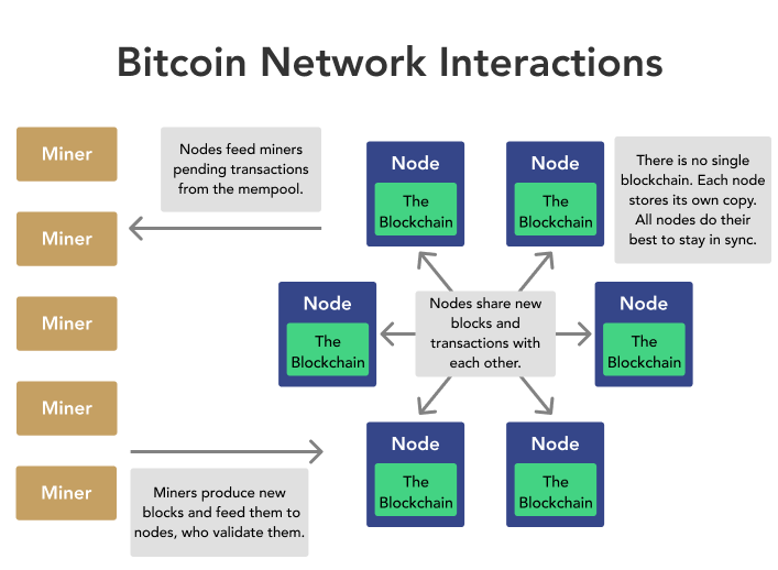 Bitcoin Blockchain Security: Nodes or Miners? - D-Central