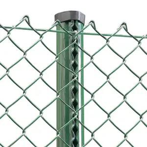 Buy Galvanized Chain Link Fence Nigeria for Security - bitcoinhelp.fun