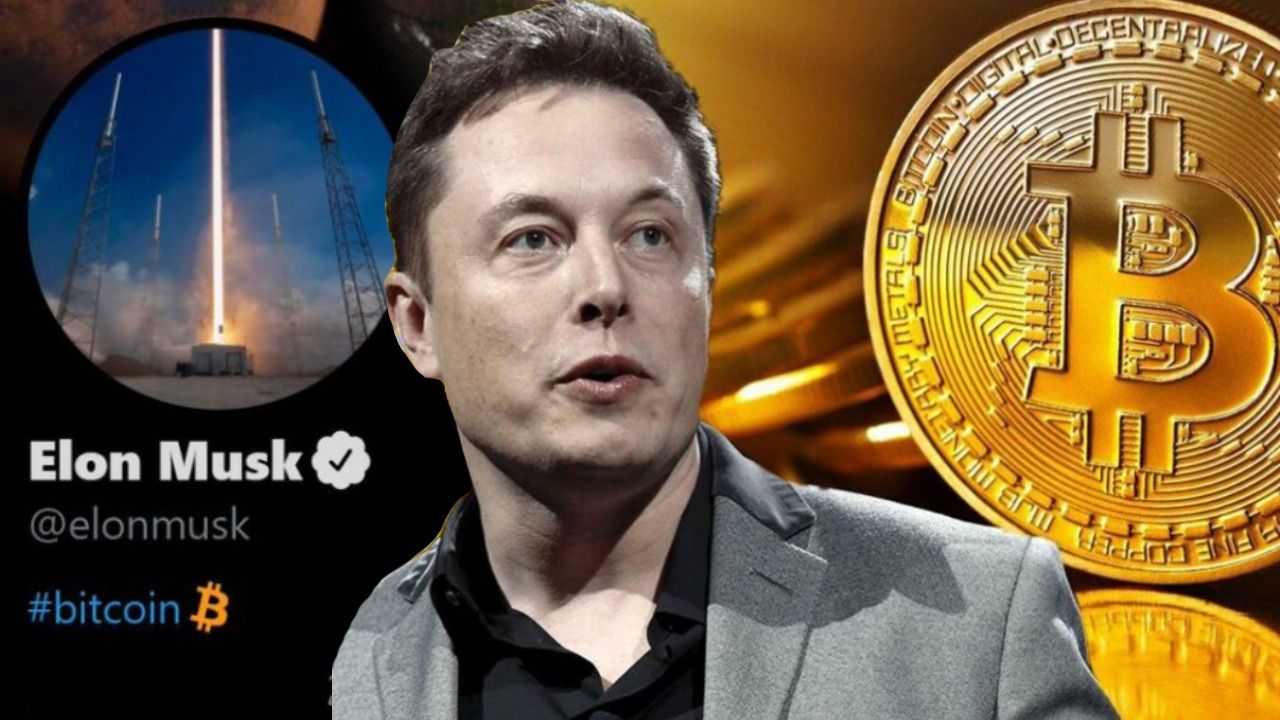Fake Elon Musk TeslaCoin investment scam costs victims at least $