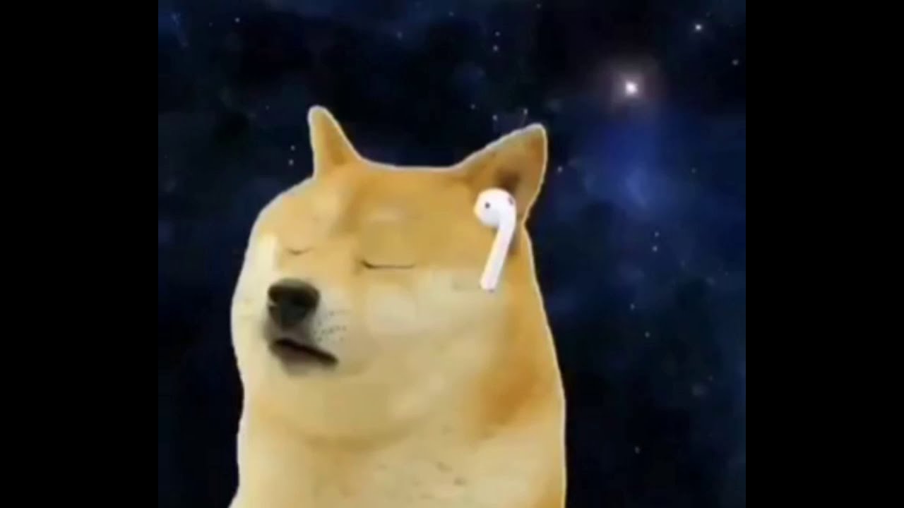 Doge Meme Projects :: Photos, videos, logos, illustrations and branding :: Behance