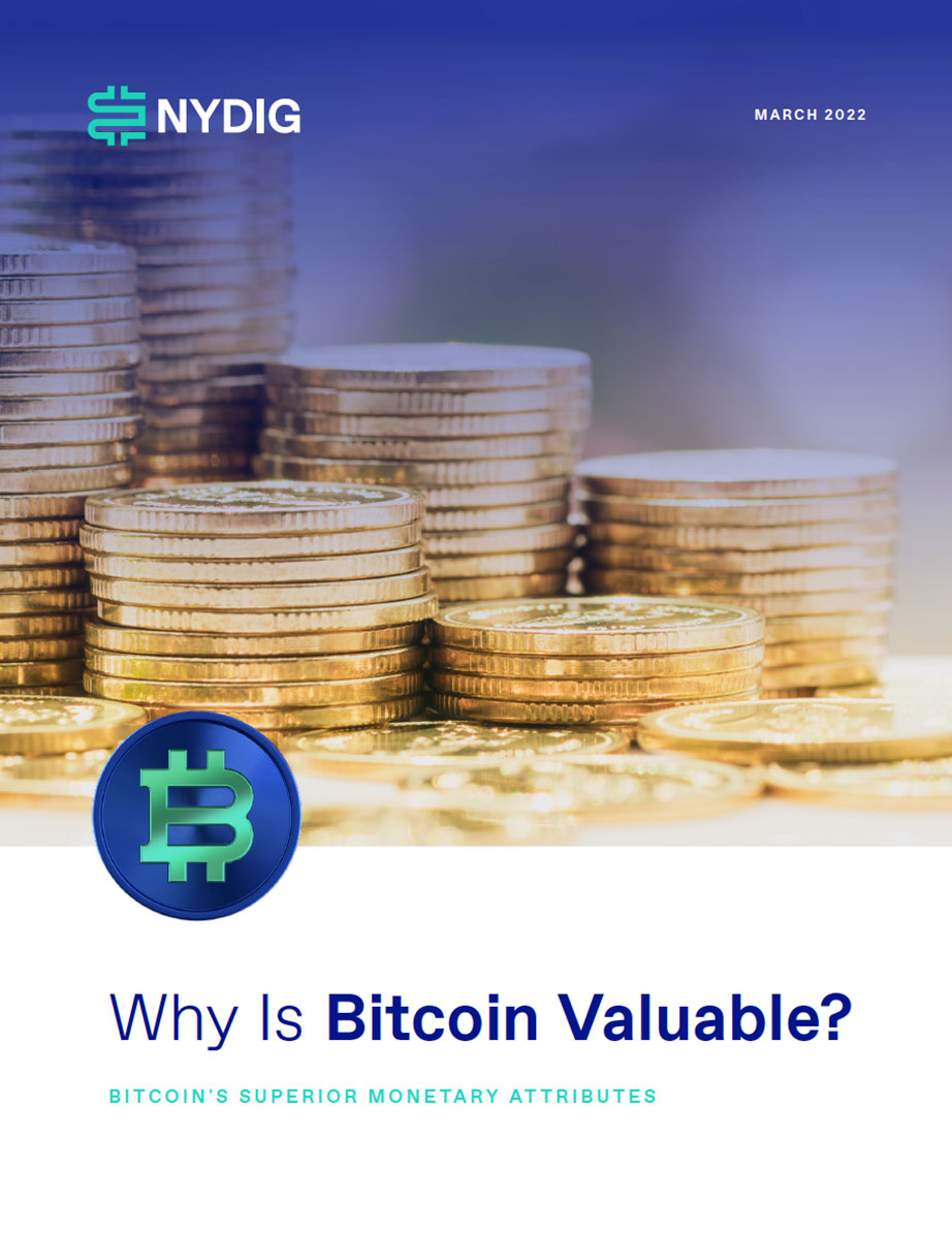 What determines the value of a cryptocurrency? | Tradimo