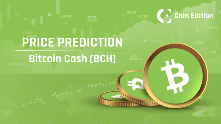 Bitcoin Cash (BCH) Price, Chart & News | Crypto prices & trends on MEXC