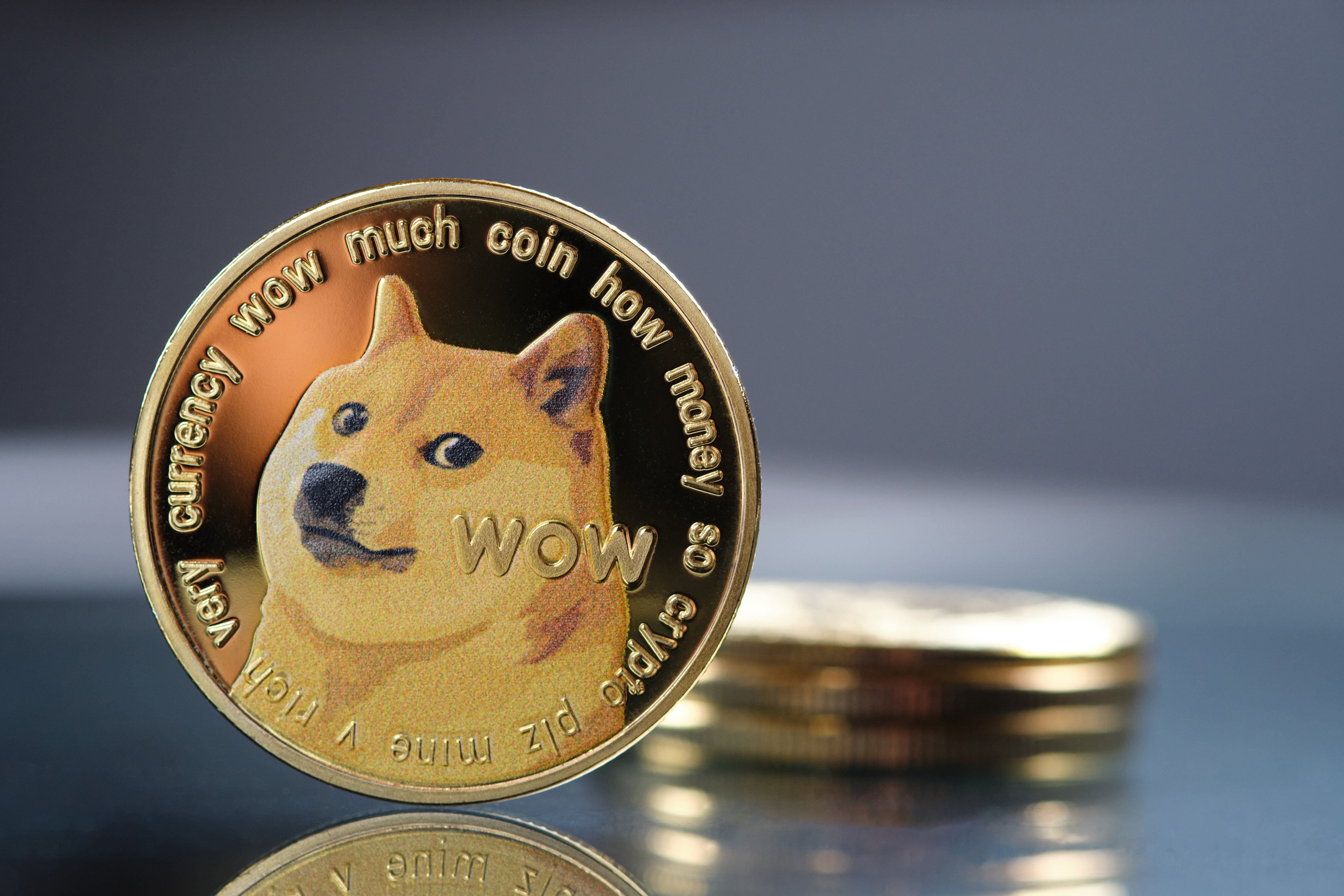 Dogecoin information, price for today and DOGE market cap