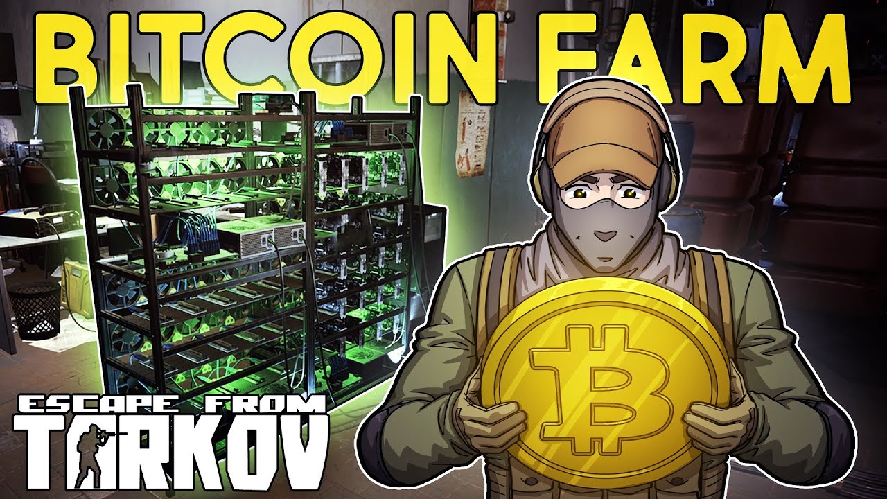 Escape from Tarkov Bitcoin Farm: How To Build, Is It Worth It? - GINX TV