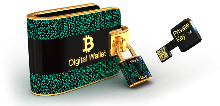 The 10 Best Cryptocurrency Wallets in | CoinLedger