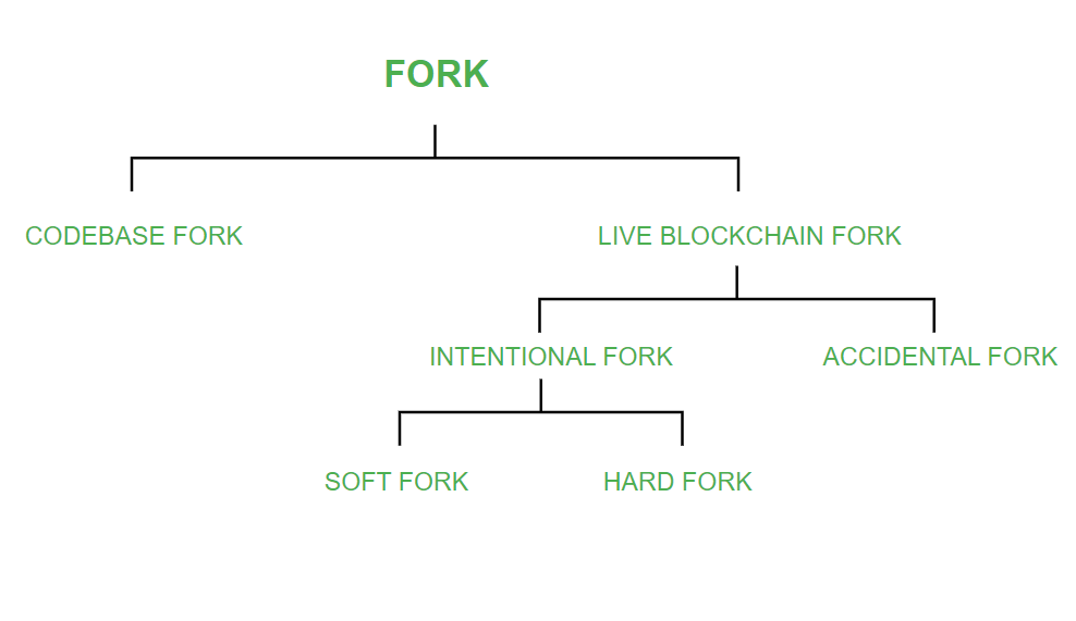 What Are Forks and How Do They Impact the Price of Cryptocurrency? - bitcoinhelp.fun