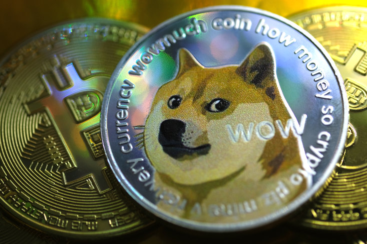 Dogecoin Influencer Sounds Warning Of Scam Tokens Targeting The Community