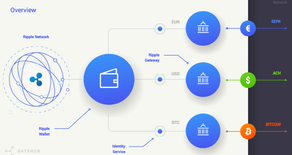 What is Ripple (XRP)? History, Purpose, and More