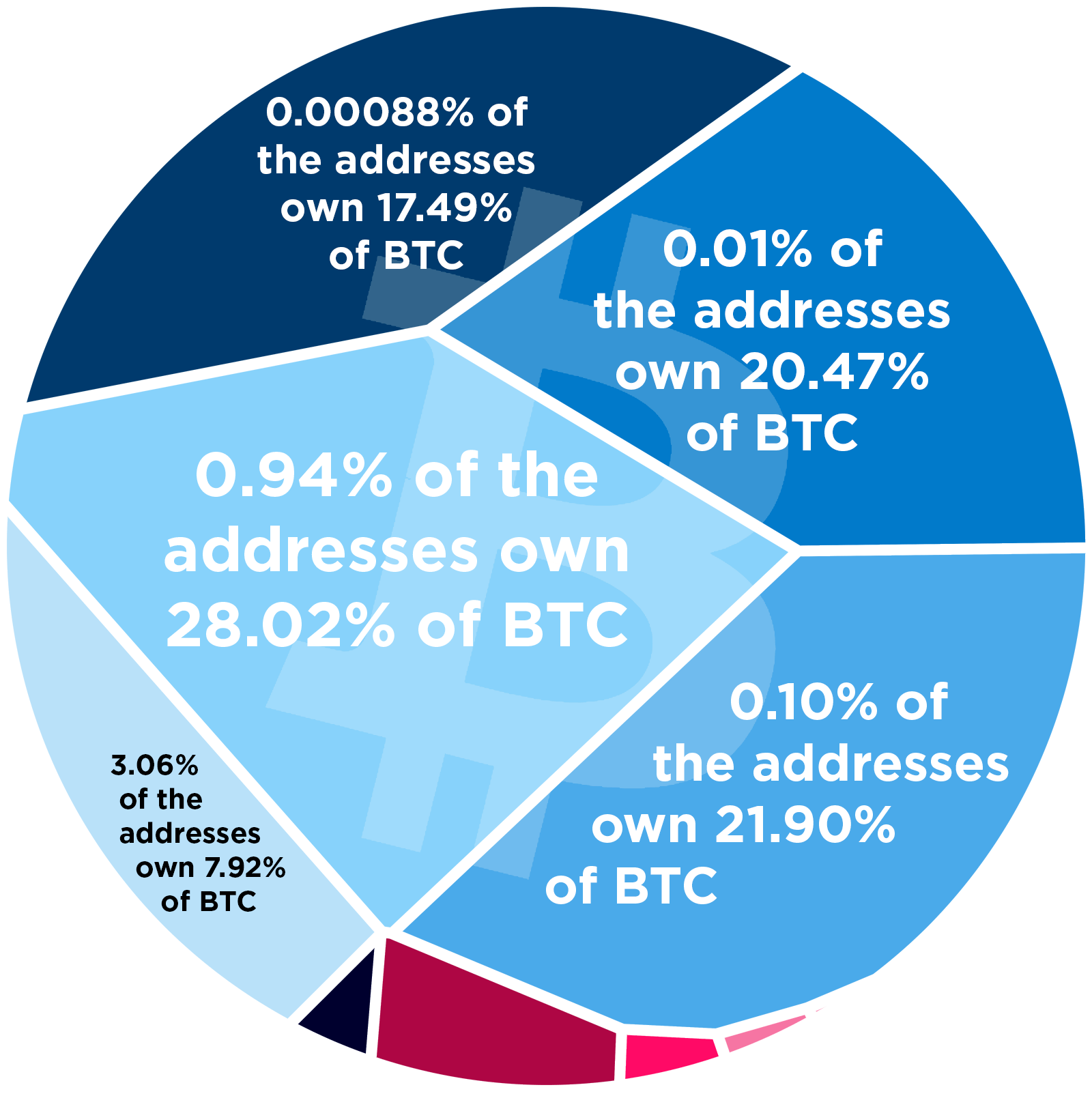 The Biggest BTC Whales: Who Owns the Most Bitcoin?