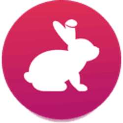 Bunny Token by Yell | Download free STL model | bitcoinhelp.fun
