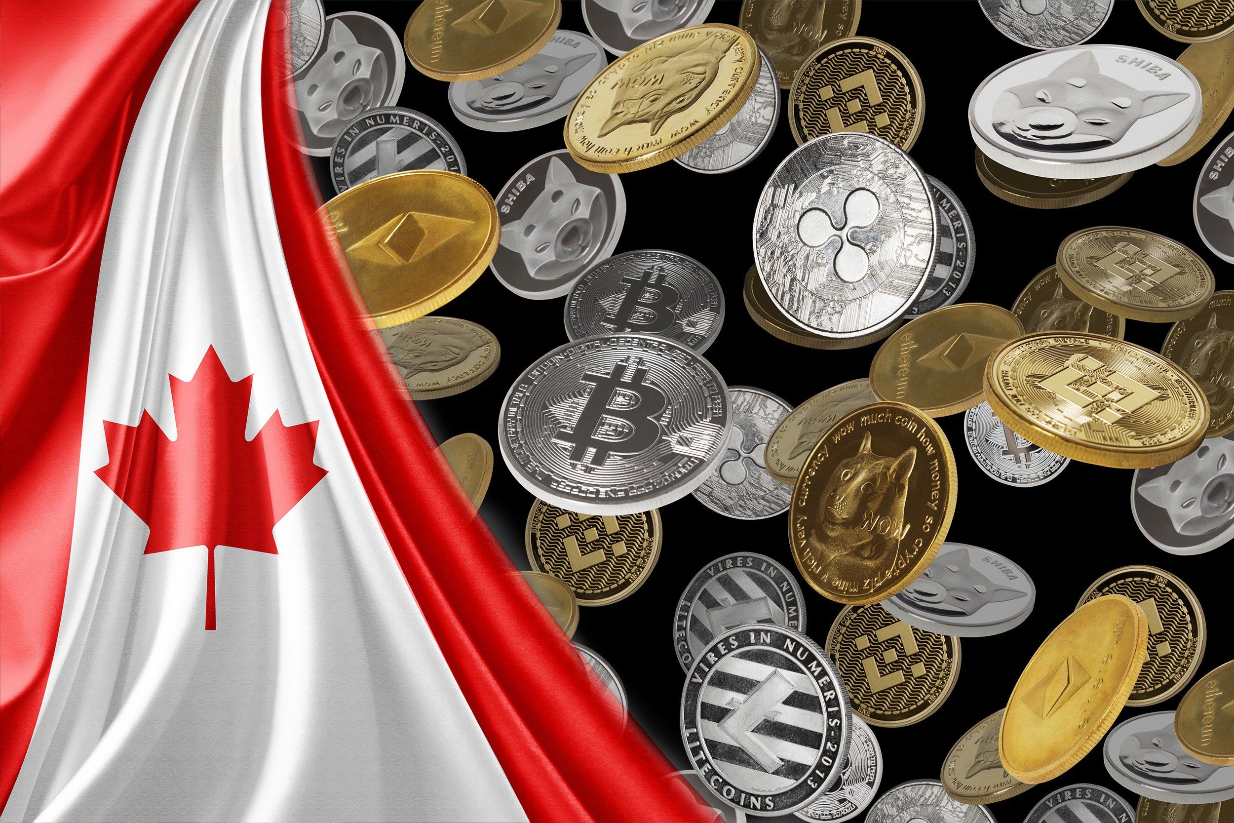 Convert Bitcoin to CAD | Bitcoin price in Canadian Dollars | Revolut Australia
